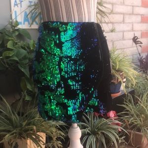 Beautiful sequined Skirt.